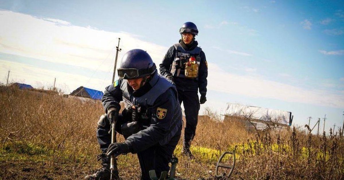 Компенсації за розмінування: нові можливості для фермерів