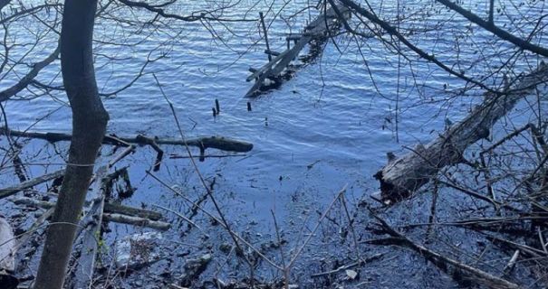 У Тернополі знайдено тіло зниклої жінки у ставі