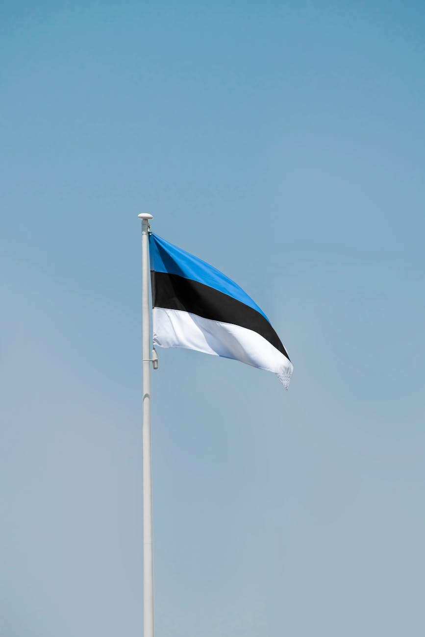 the national flag of estonia